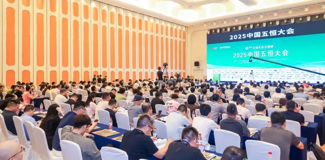 至尊国际 – 至尊效劳,至尊享受